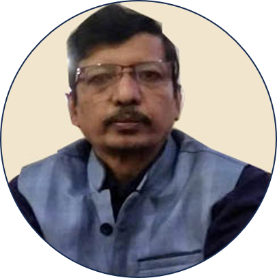 Shri Soumitro Majumdar